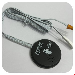 سنسور صوتی english voice switch